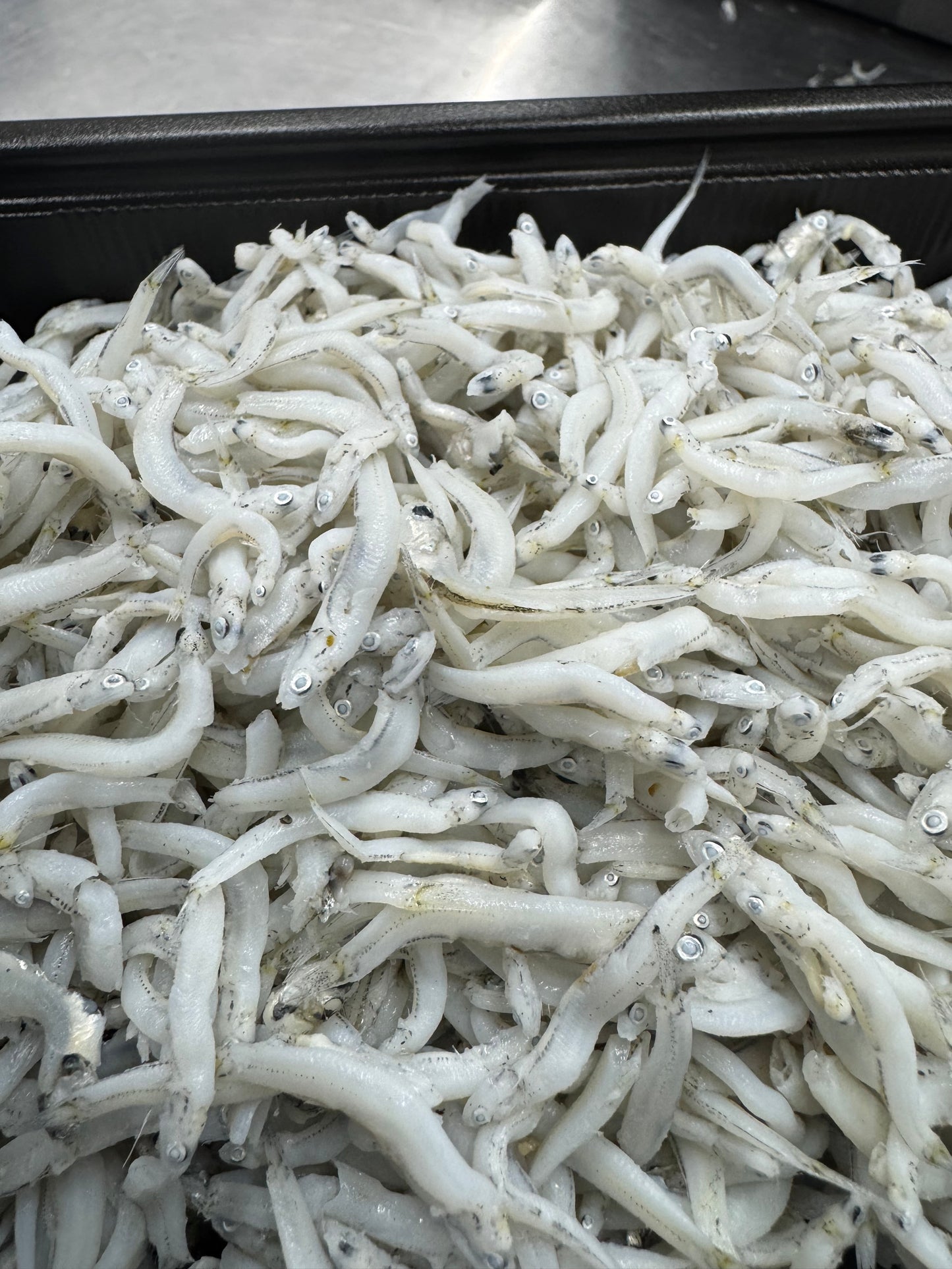 【訳アリ・業務用】釜揚げしらす1kg